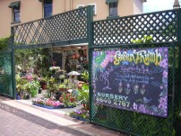 5 Nungera Green Thumb Nursery